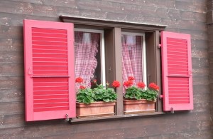 Fenster-Angebote einholen