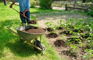 Gartenbau-Angebote einholen