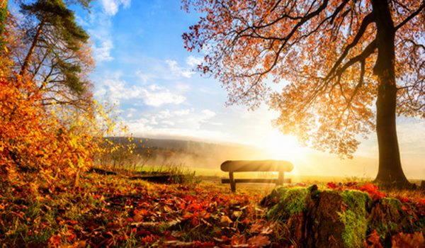 Farben durch Licht
