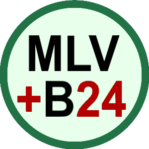 Muster-LV und Bauhilfe24 Spezial