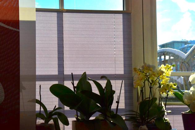 Sonnenschutz Inneneinrichtung Sonnenschutz innen als Teil der Inneneinrichtung